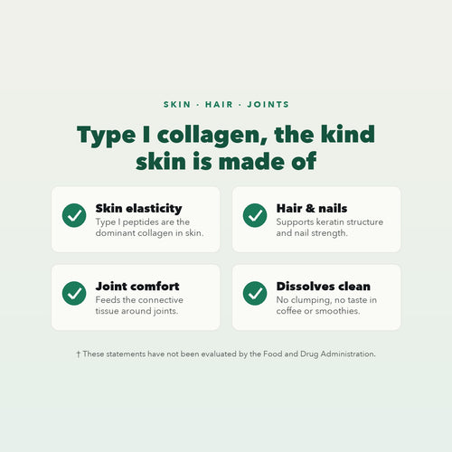 Type I. The Collagen Skin Is Made Of.