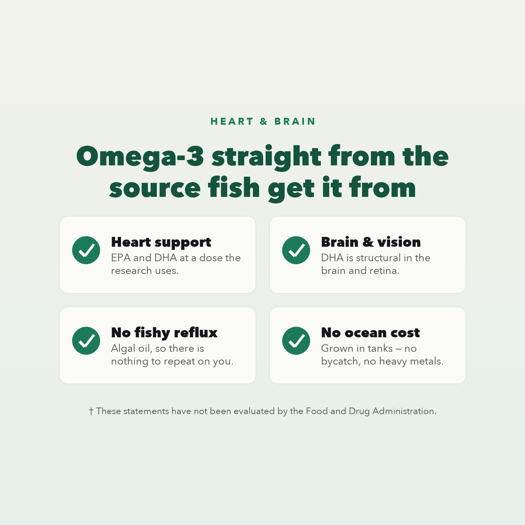 Benefits: heart support, brain and vision, no fishy reflux, no ocean cost