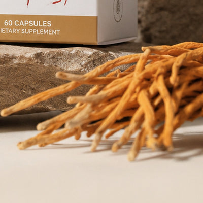 Cordyceps militaris