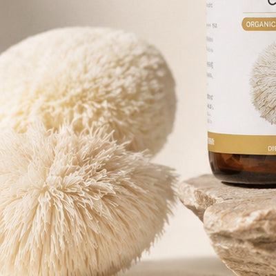 Lion’s Mane